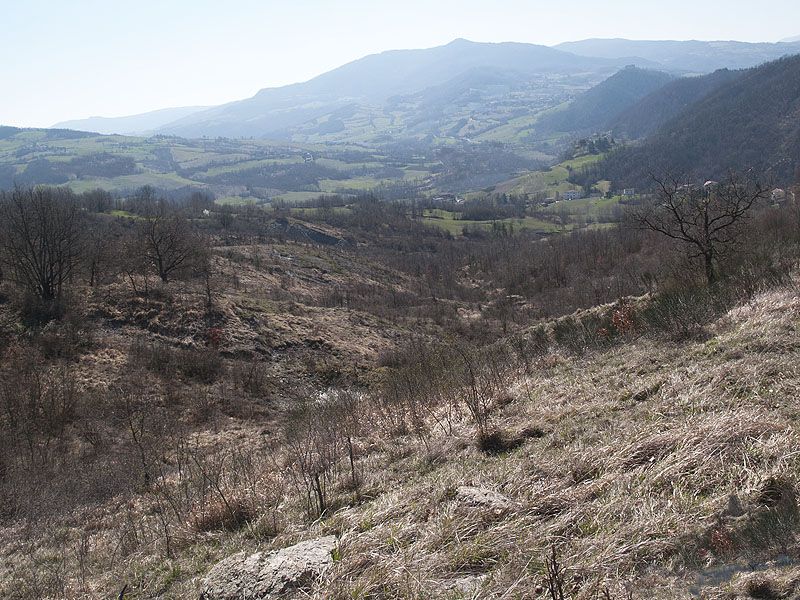 Oasi naturalistica del Carmine